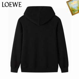 Picture of Loewe Hoodies _SKULoeweM-3XL25tn444213